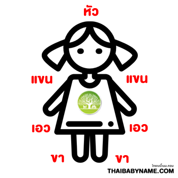 ตุ๊กตาไขนาม ภาพที่ 1