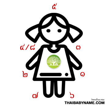 ตุ๊กตาไขนาม ภาพที่ 2